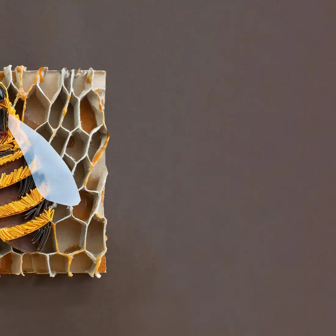 Honey Bee Original 2